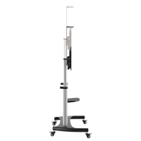 Dual TV-Monitor cart, 37–60", each 50 kg, height adjustable